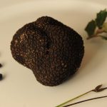 Saveurs de truffes et vins d'Ardèche au Domaine de Vigier