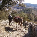 © Wandern mit einem Esel - Trek'âne - trekane