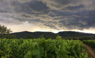 Weinkeller les vignerons des Gorges de l'Ardèche
