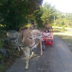© Tageswanderung mit einem Esel - Carab'âne - ©carab'âne2022