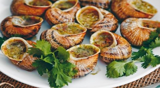 Visite gourmande de la ferme l'Escargot des Restanques