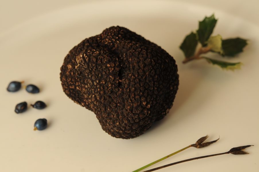 Saveurs de truffes et vins d'Ardèche à Néovinum