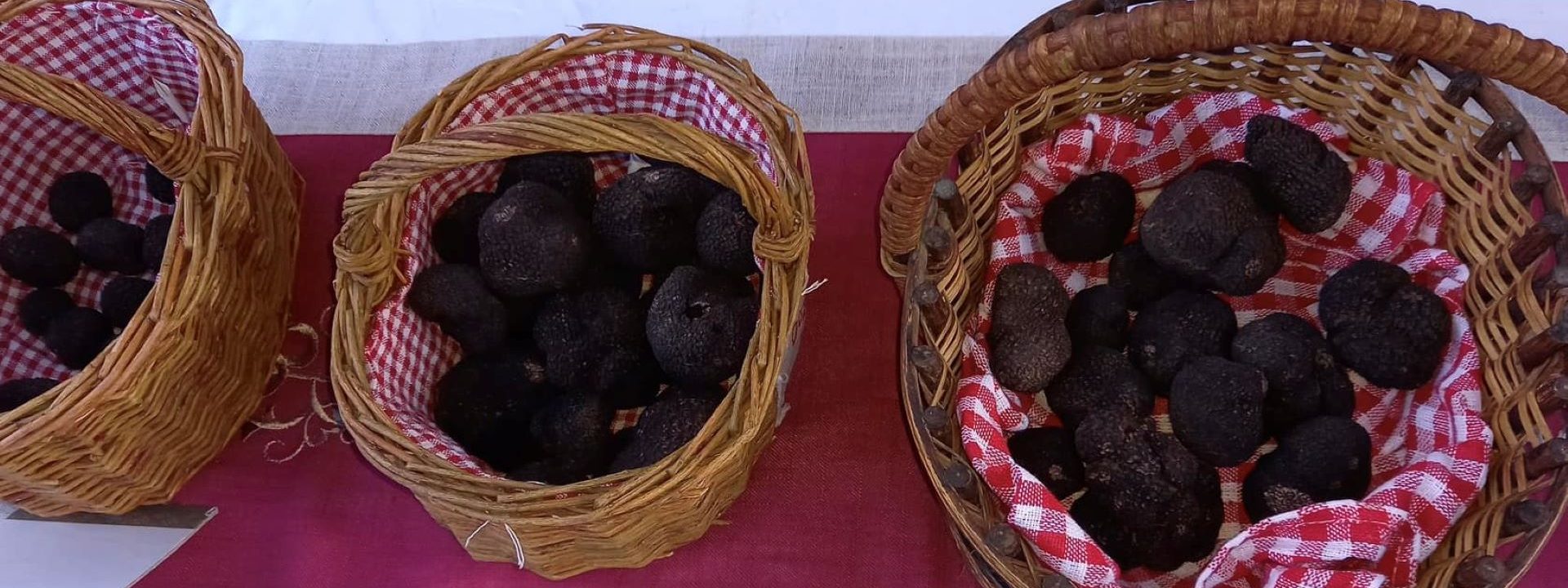 Marché de la truffe d’hiver