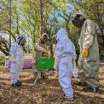 © Baptême d'Apiculture - La Ferme des Abeilles - Elodie Leullier