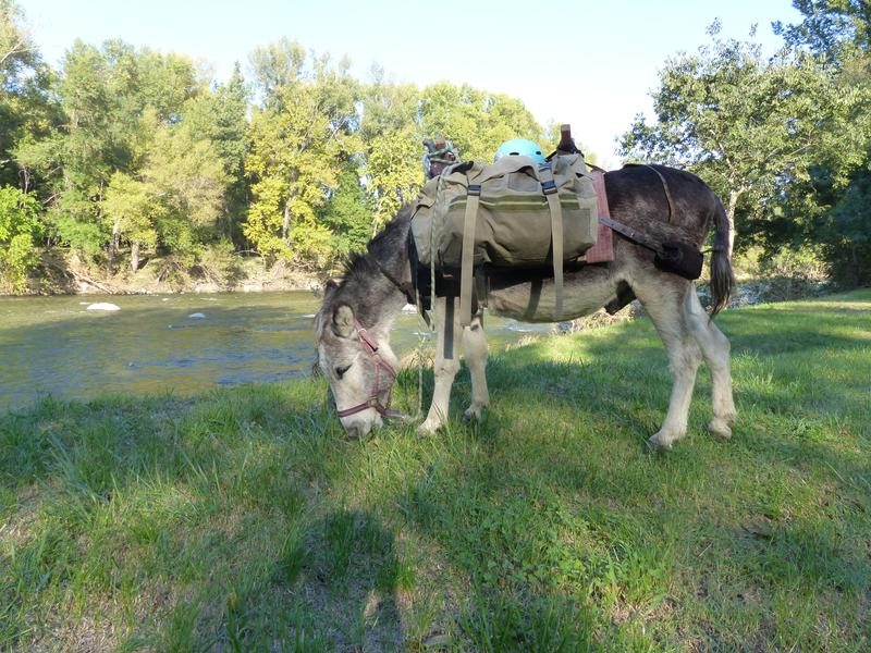 Randonnée avec un âne 2 tage - Carab'âne