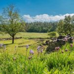 Autofreier Aufenthalt: Die Gorges de l'Ardèche rive droite, Chic in der Natur