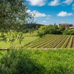 Autofreier Aufenthalt: Die Gorges de l'Ardèche rive droite, Chic in der Natur