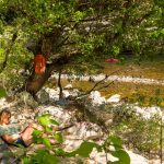 Autofreier Aufenthalt: Die Gorges de l'Ardèche rive droite, Chic in der Natur