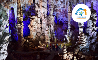 Höhle des Salamanders