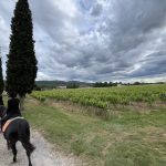 © Randonnée Equestre Accompagnée - Equitation Chavetourte - Talagrand