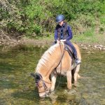 © Ferme Equestre Chavetourte - Talagrand