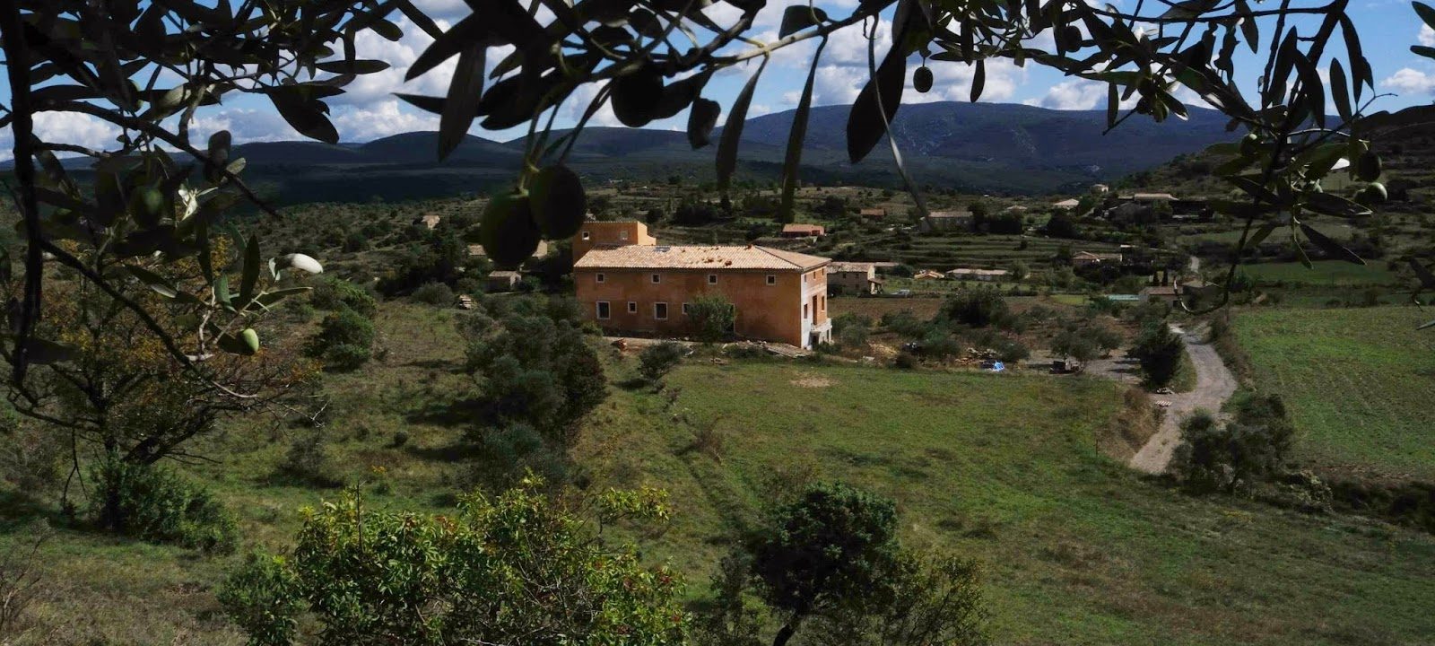 Domaine Oléicole Biologique Pontet Fronzèle : moulin à huile, confiserie d’olives, point vente des produits du domaine