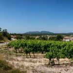 © Le tilleul - Village de gîtes Le Serre de Pierre - Gîtes de France