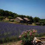 © Le cade - Village de gîtes Le Serre de Pierre - Gîtes de France