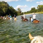 © Randonnée Equestre Accompagnée - Equitation Chavetourte - Talagrand