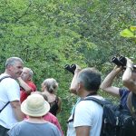 Vogelbeobachtung mit Ardèche Balades