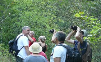 Vogelbeobachtung mit Ardèche Balades